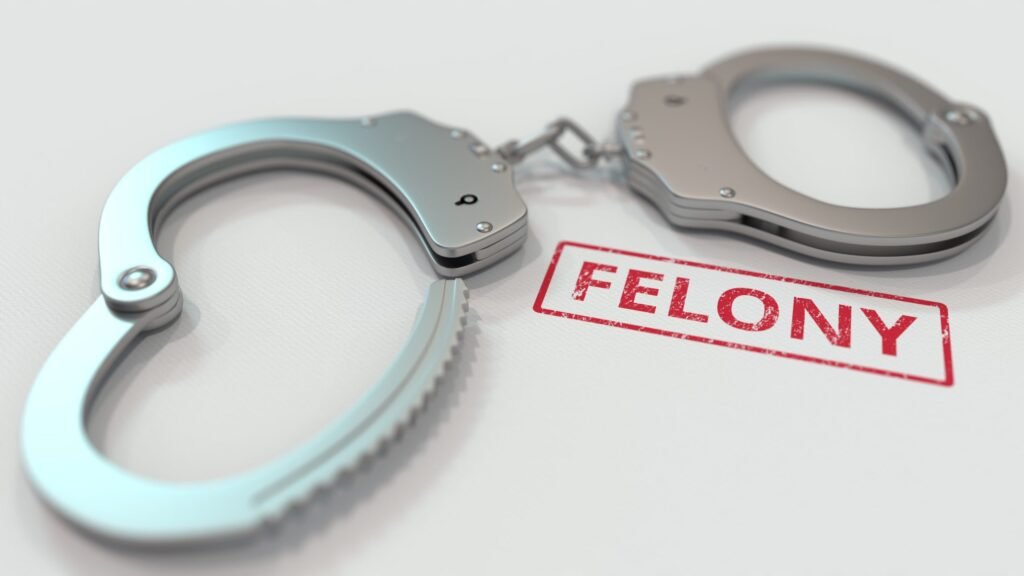 Types of Felony Charges in Florida: From Drug Crimes to Violent Offenses